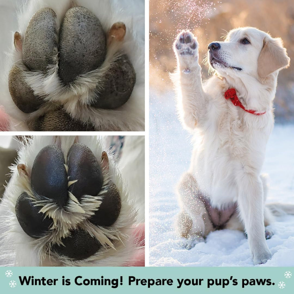 Pawtection Balm for Dogs, Dog Paw Protector, Moisturizing Dog Paw Balm for Dry, Cracked Pad, Protects Paw from Extreme Weather, Paw Lotion for Allergies & Itching (0.15 Oz Stick)