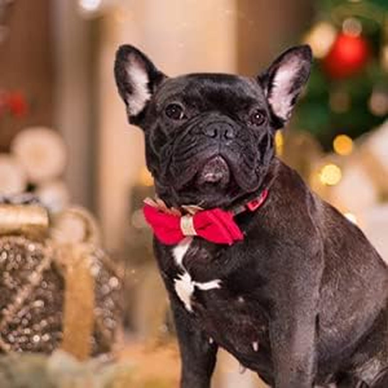 Christmas Dog Collar, Classic Design Plaid Dog Collar with Bowtie and Cute Glitter Reindeer Ear, Soft & Comfy Dog Collars, Gifts for Medium Dogs