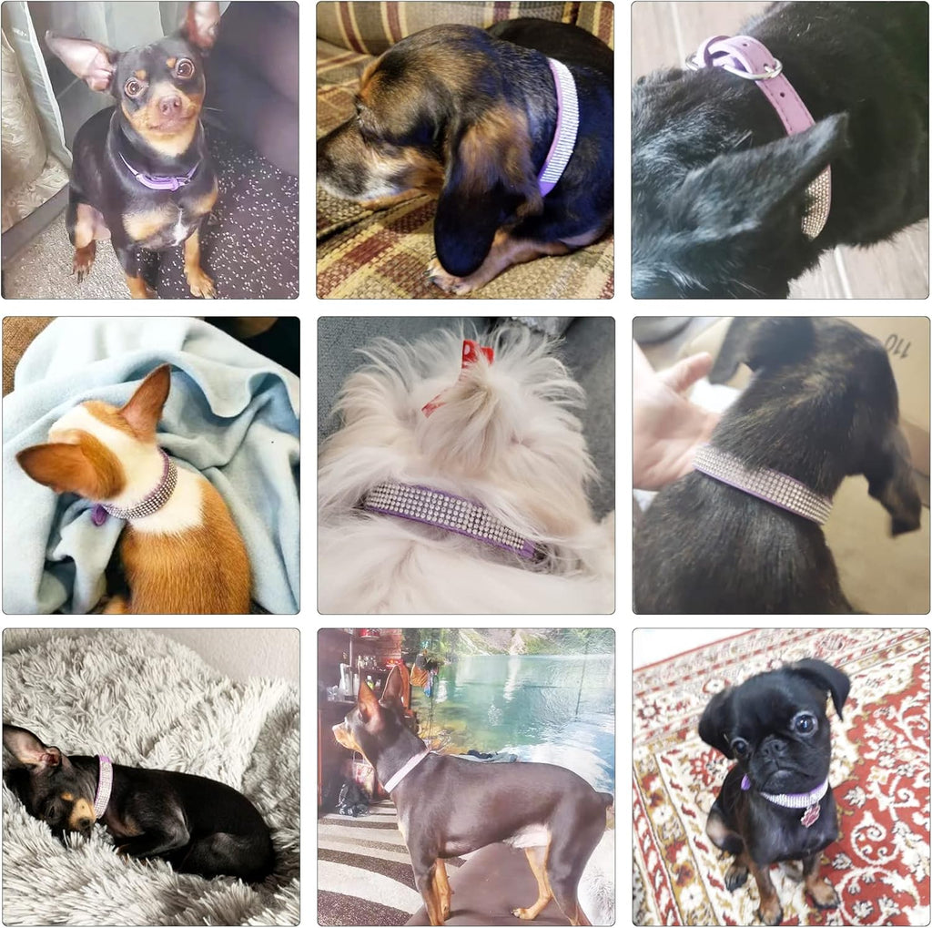 Rhinestone Dog Collar Soft Velvet Leather Cat Collars Cute Luxury Diamond Studded Bling Dog Collar Necklaces Adjustable Puppy Collar for Small Medium Large Dogs Cats Kitten (Purple,Xxs)