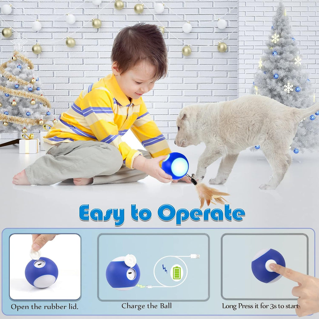 Automatic Interactive Cat Toy Ball Toy Moving Wicked Ball for Indoor Cats/Kitten, Rechargable Interactive Feather Wicked Ball with Bell & LED Lights for Your Pet Play/Exercise(Black)