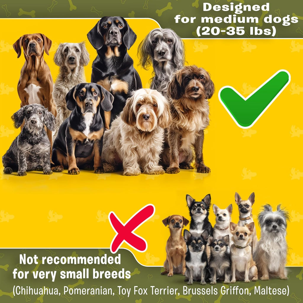 Exquisite Hands-Free Leash for Medium Dogs: Perfect for Active Pet Owners Comfortable, Durable & Ideal for Running, Walking, Hiking. Premium Dog Waist Leash with Bungee. Must-Have Dog Gear